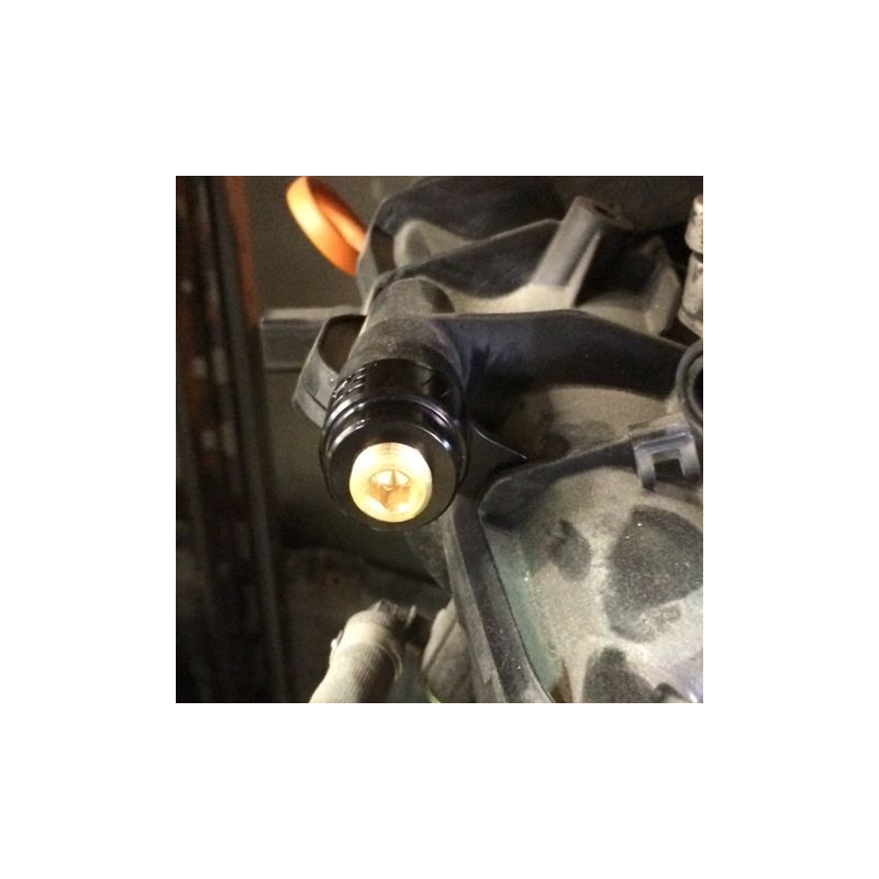 Presa sul collettore di aspirazione CTS Turbo CTS-HW-042