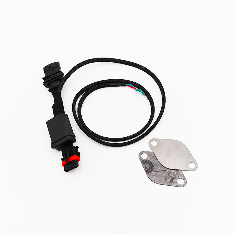 Kit eliminazione valvola EGR DUCATO IVECO BOXER JUMPER 2.3 / 3.0 JTD HDI
