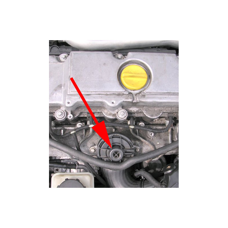 Kit Completo EGR Opel Saab 2.0 Di / DTI / 2.2 TID