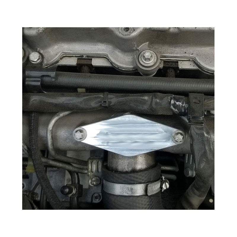 Kit Completo EGR Opel Saab 2.0 Di / DTI / 2.2 TID