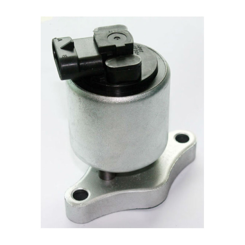 Plaque de suppression vanne EGR 1.6 Essence OPEL