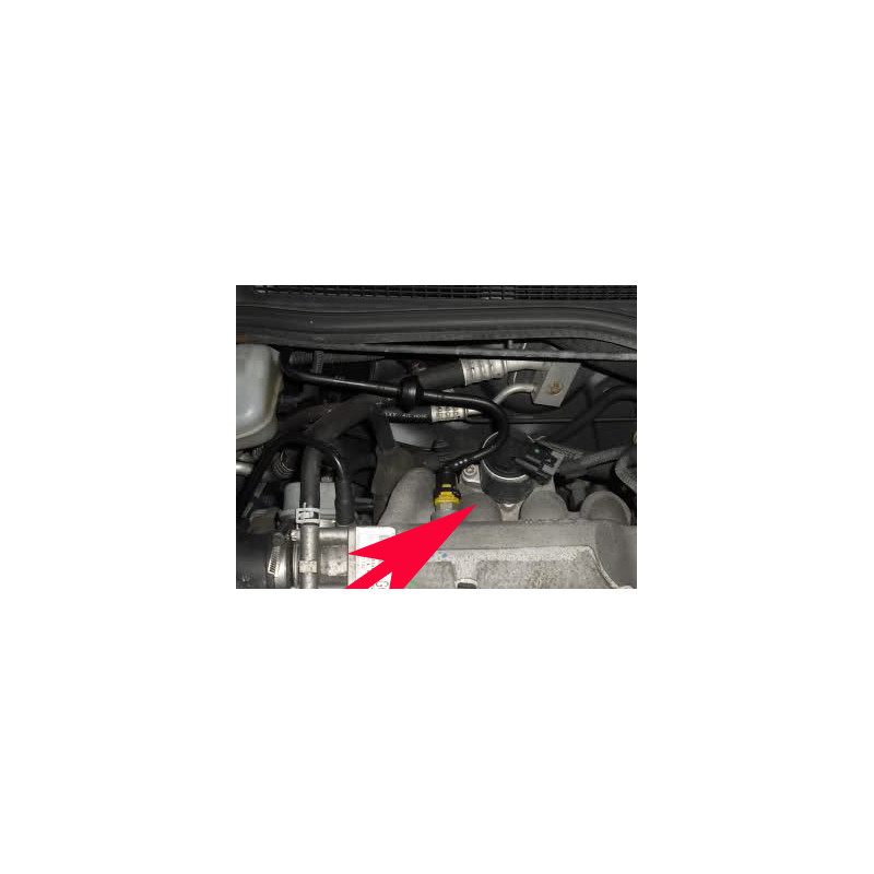 Placa de anulación válvula EGR 1.6 Gasolina OPEL
