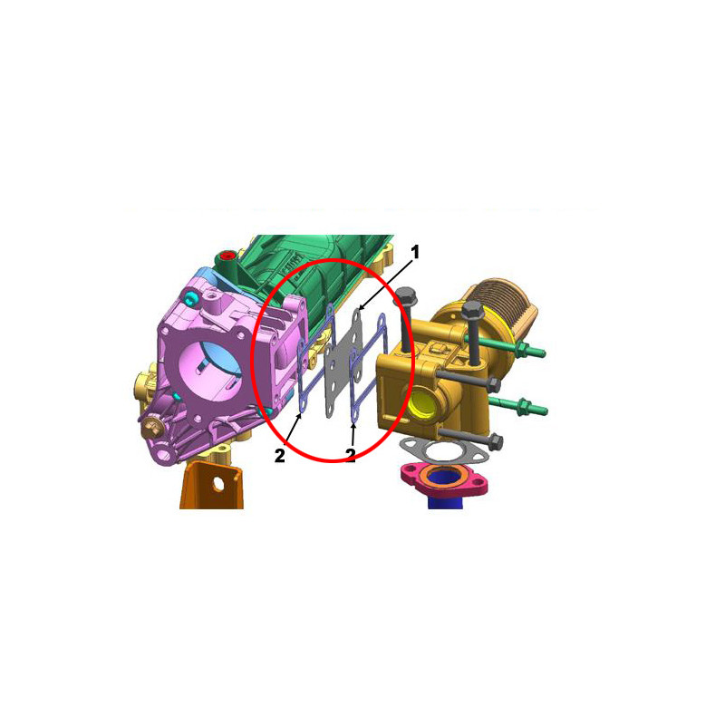 Plaque de suppression vanne EGR 1.9, 2.4 JTD/CDTi/TID