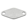 AGR-Blindplatte Nissan 3.0DDT