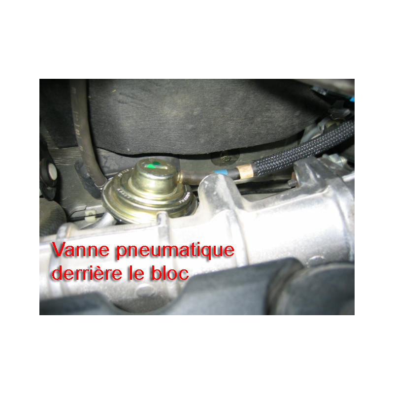 Piastra eliminazione valvola EGR 2.0 HDi/JTD