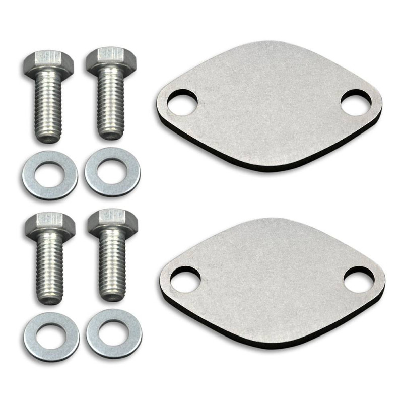 2 AGR-Abschaltplatten 2.2DCI / 2.5CDTi