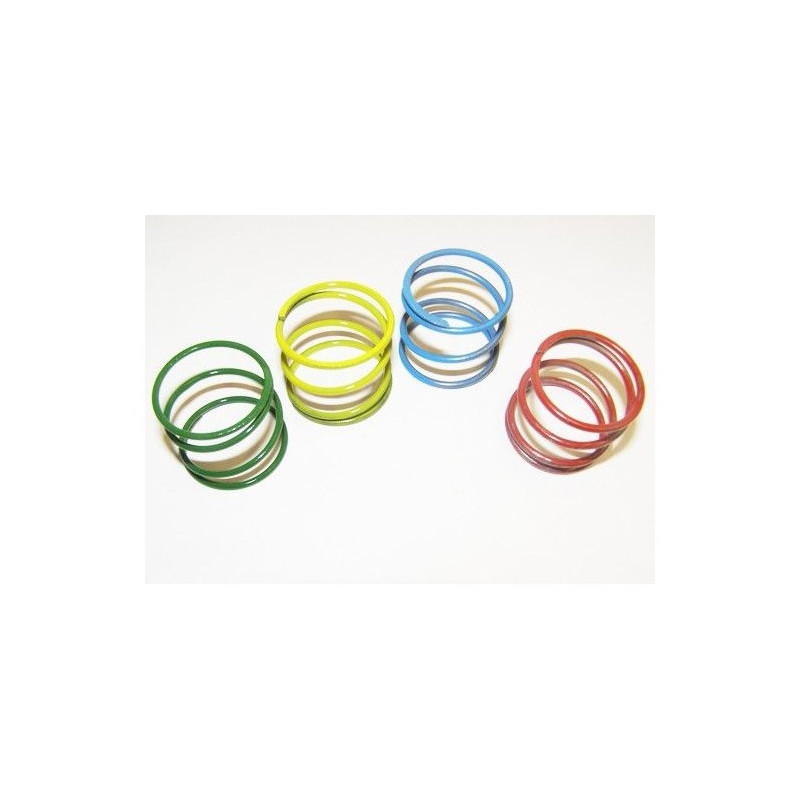 Kit petits ressorts (4) FMTVTUN