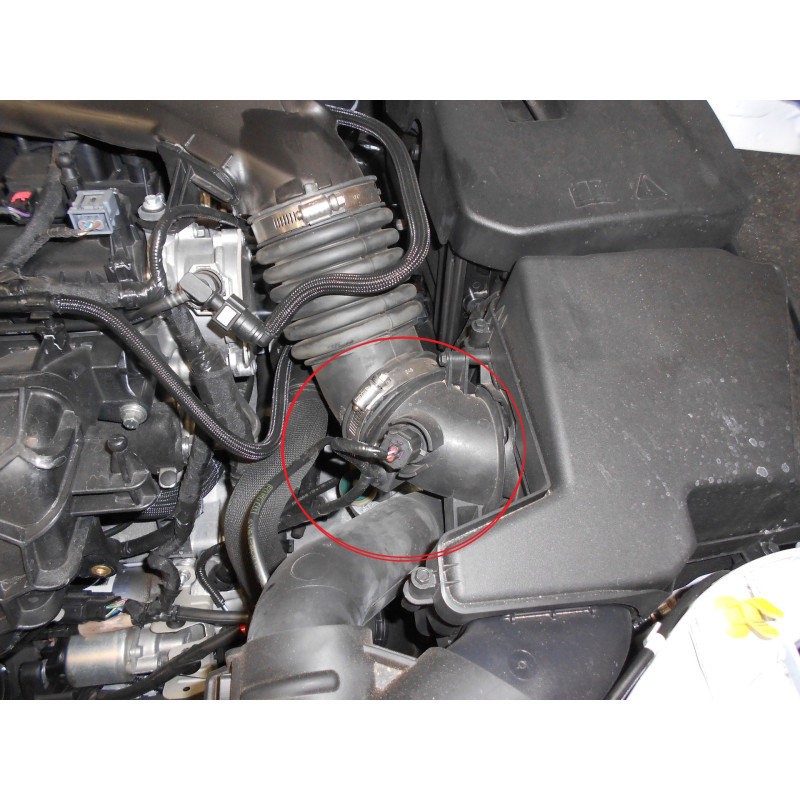 Kit d'admission directe pour FOCUS ST250 FMINDST250