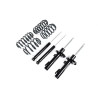 RacingLine sport springs and shock absorbers kit for FWD Golf 5/6, A3 8P, Leon 2 VWR30G5GT