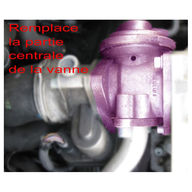 AGR-Abschaltungs-Kit für VAG-Motor 1.9 / 2.0 TDI