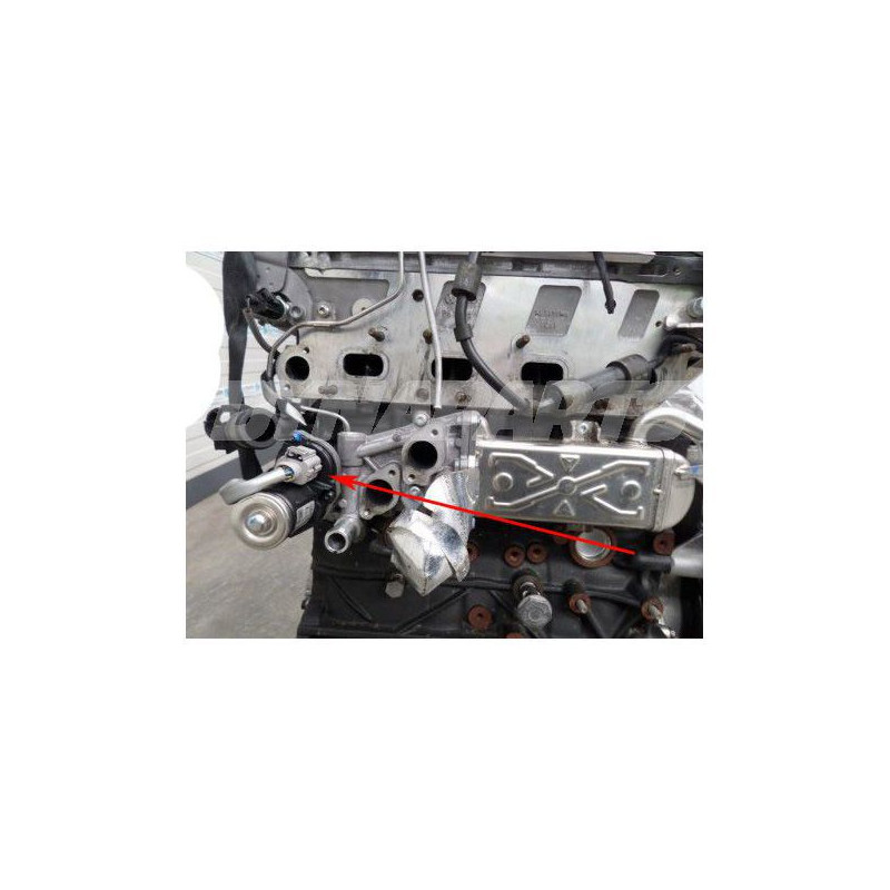 Kit de anulación válvula EGR VAG 1.6TDI