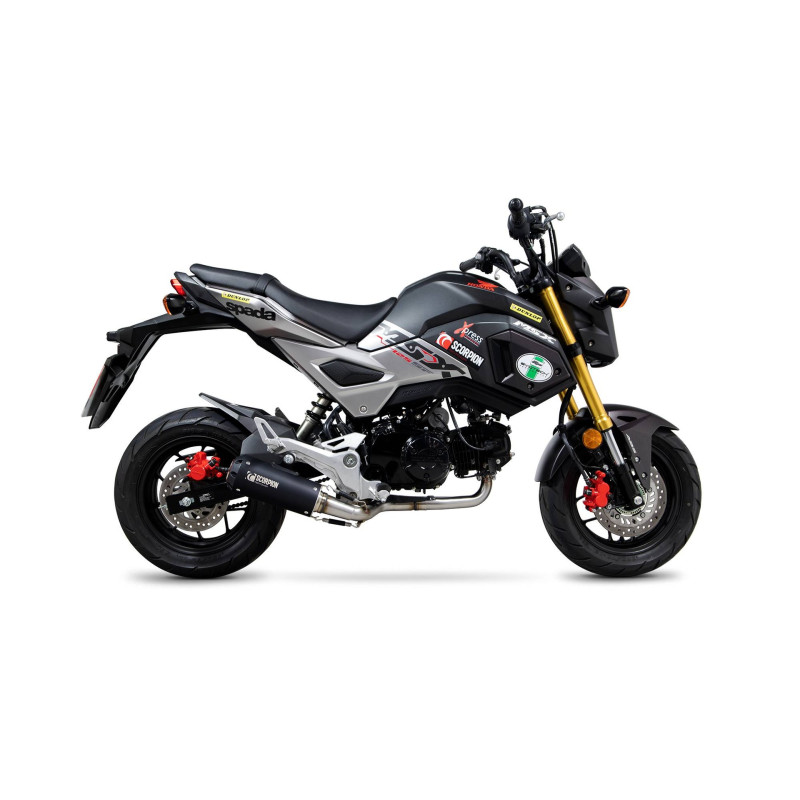 Impianto completo Red Power Scorpion Honda MSX 125 2016 - 2020