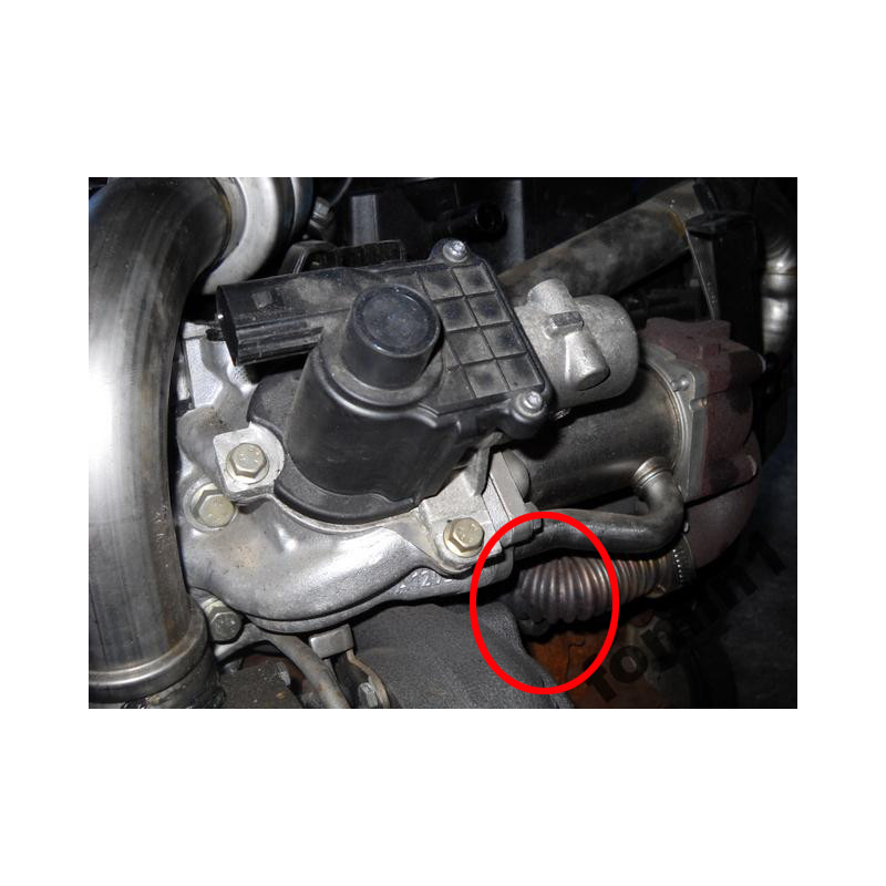 Piastra eliminazione valvola EGR 1.5Dci K9K