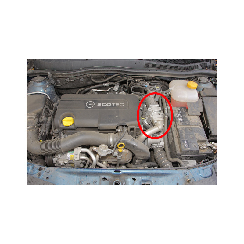 Piastra di eliminazione valvola EGR 1.7 CDTI