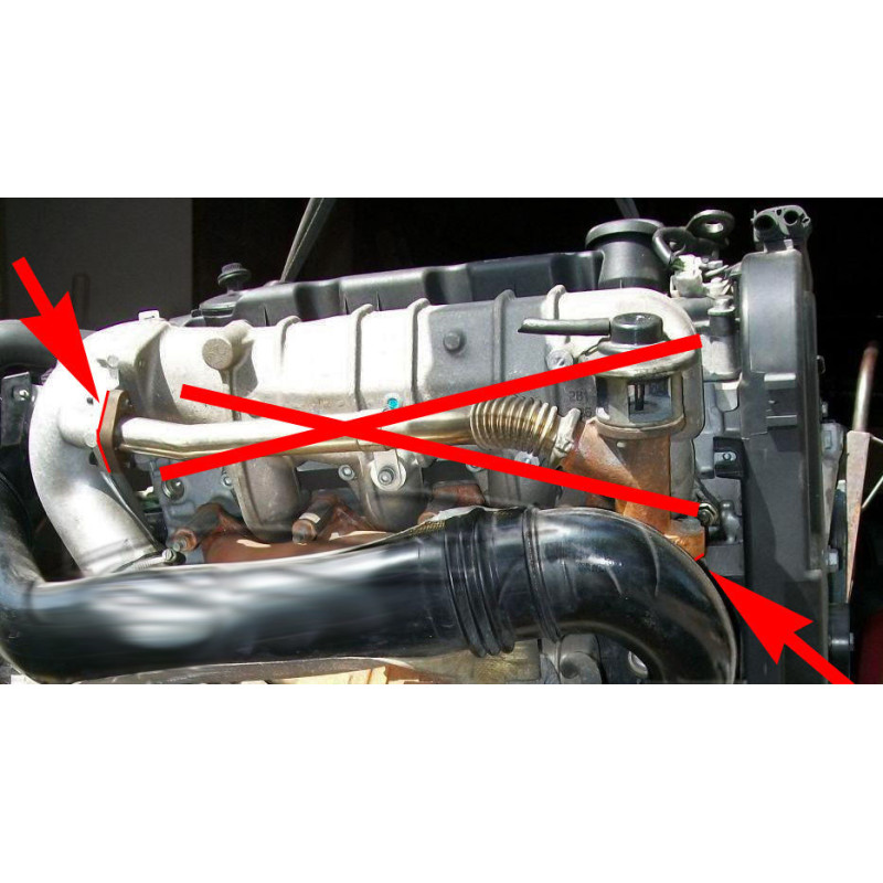 EGR Valve Delete Plate 2.0 HDi/JTD