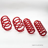 Muelles cortos Dynaparts para Volkswagen POLO MK3 - 6N Rebaje delantero/trasero (mm) 40/30