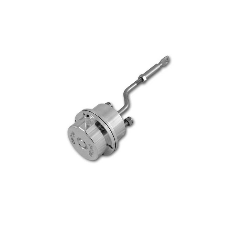Wastegate FMPAC900