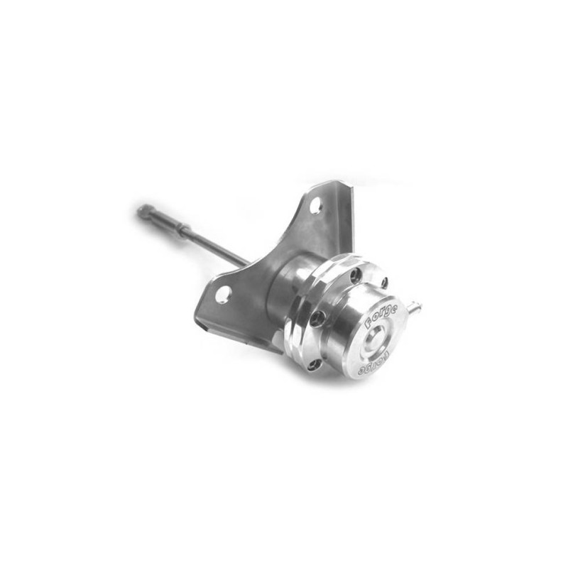 Wastegate FMPAC9000A