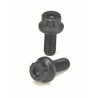 Vite puleggia per 1.6L Mini Cooper