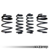 Spring Set 034 motorsport pour 8V A3/S3 - Non-Mag