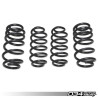 Springs 034 motorsport pour Set 034 motorsport pour B8 A5/S5