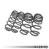 Springs 034 motorsport pour Set 034 motorsport pour B8 S4