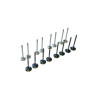 VALVE SET, 2.0T FSI SS INCONEL