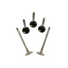 VALVE SET, 5V, OVERSIZE