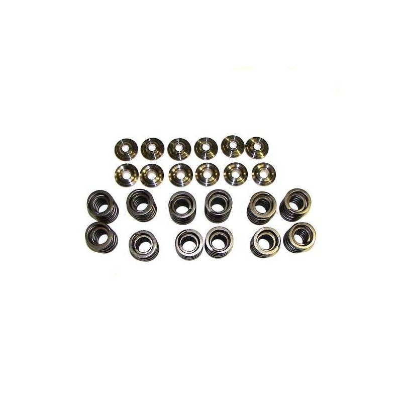 VALVE SPRING SET, 12 vVR6 W-TI