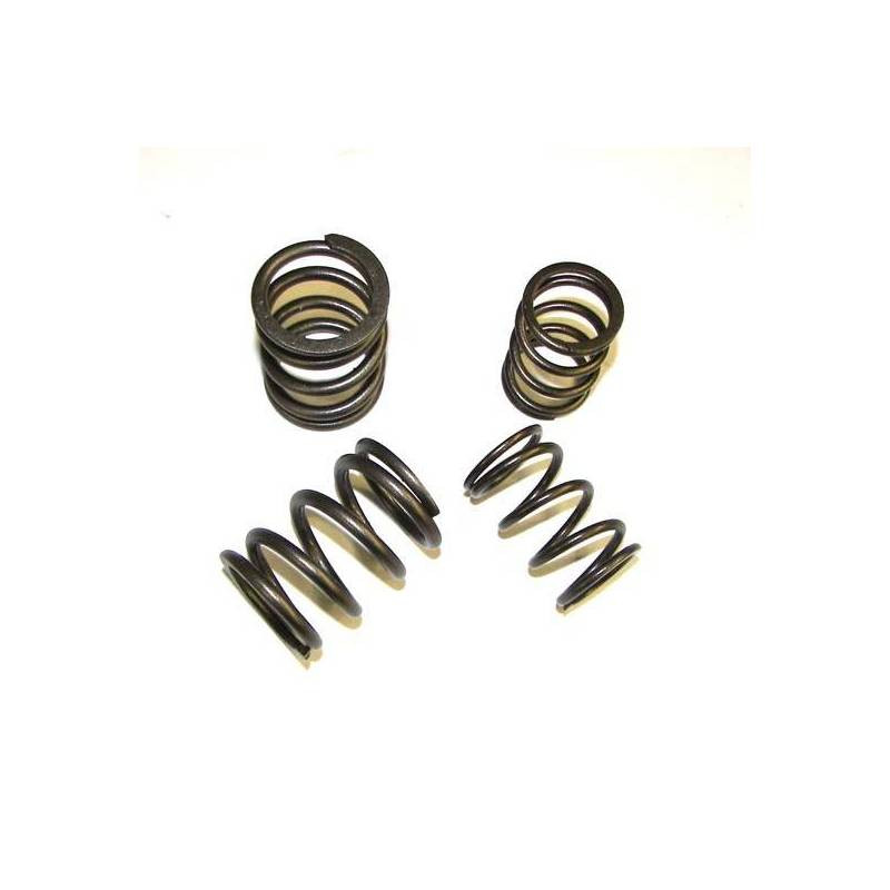 VALVE SPRING, HD AUDI I5 20VAU