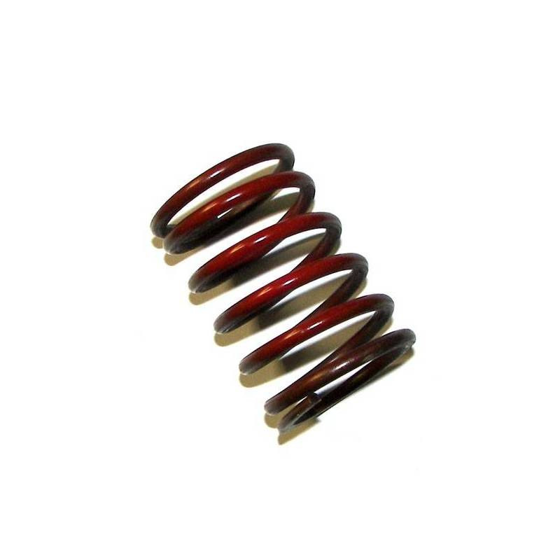 WASTEGATE SPRING, 2.2 BARFACTO