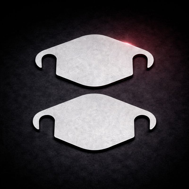 2 Plaques suppression vanne EGR 2.2DCI / 2.5CDTi