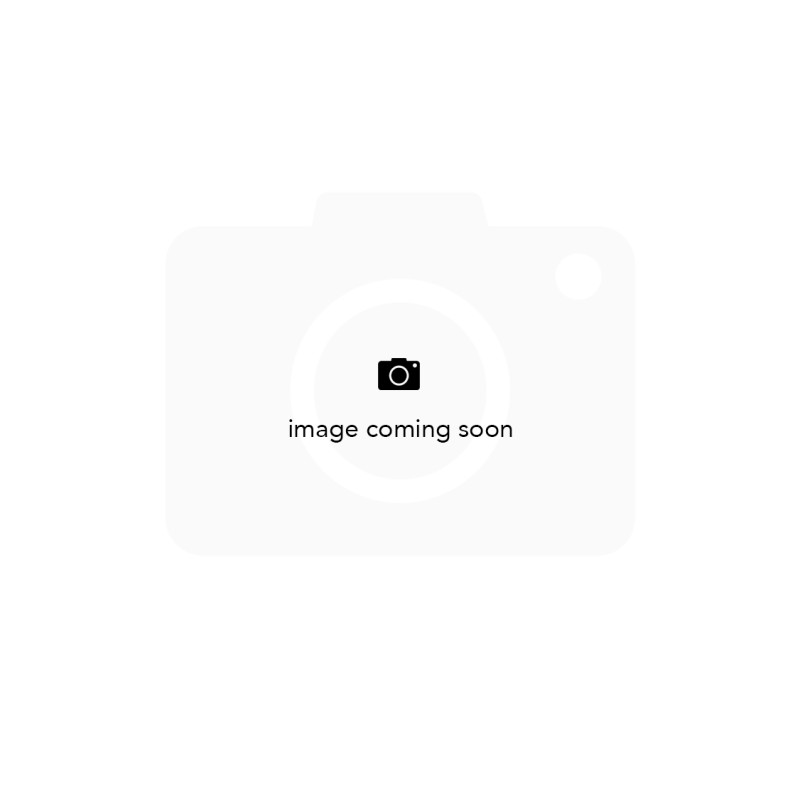 Remplacement FAP/DéFap Ragazzon Mercedes Classe A (W176) (09/2012 - Aujourd'hui) / B (W246) (09/2011 - Aujourd'hui)