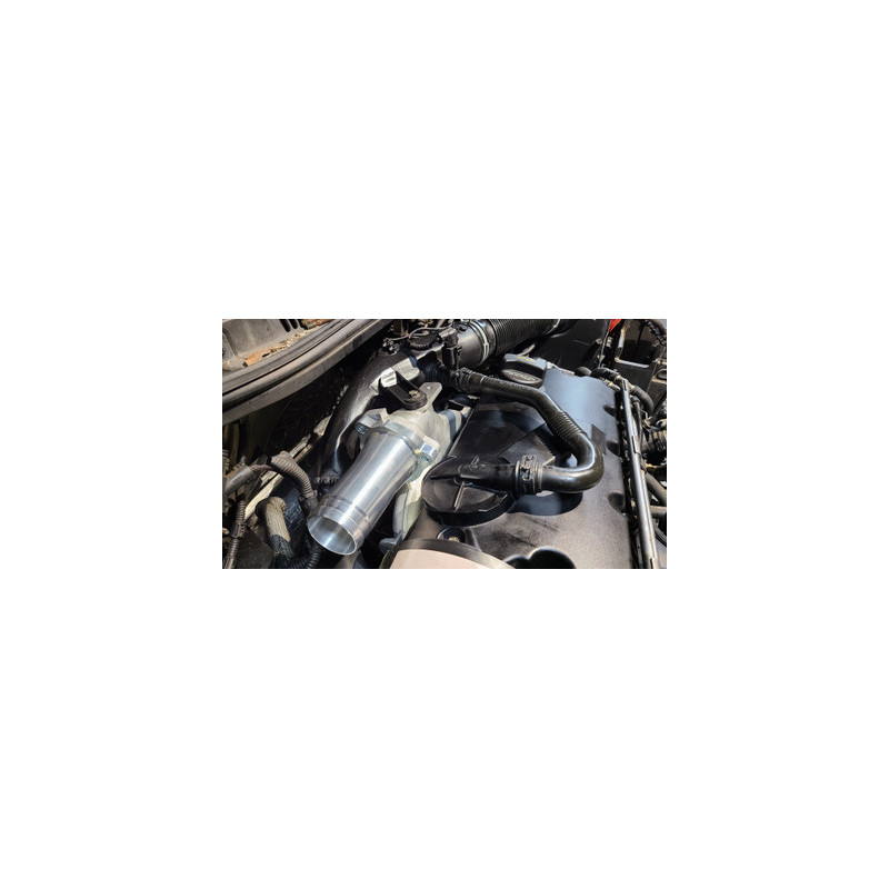 Darkside 1.9 TDI US Spec BEW suppression EGR / collecteur d'admission
