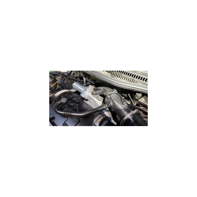 Darkside 1.9 TDI US Spec BEW suppression EGR / collecteur d'admission