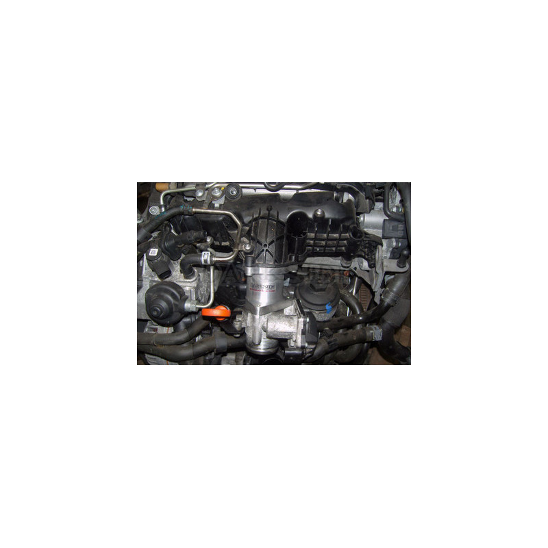 Darkside 1.9 8v PD105 & 2.0 16v TDI PD, PPD et CR tube de suppression EGR