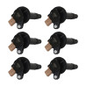 Ignition Coil, Black, Ford Eco-Boost 3.5L V6, 6-Pk