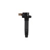 Ignition Coil, Black, Ford Eco-Boost 3.5L V6, 6-Pk