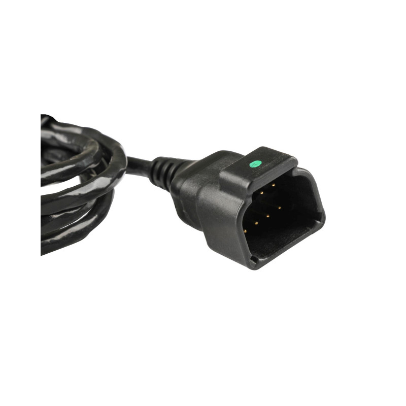 Cablaggio, PROLUNGA 4FT PER PALMARE