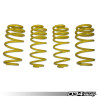 Muelles rebajados Dynamic+ 034Motorsport para Porsche Macan 95B 2.0T