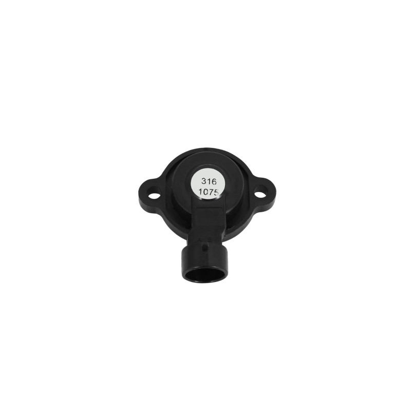Drosselklappensensor (TPS)