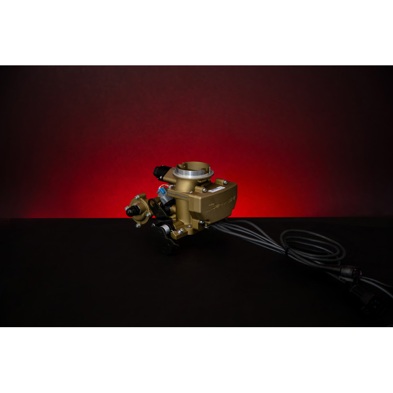 Kit di iniezione Holley Sniper EFI 2GC Small Bore - oro classico